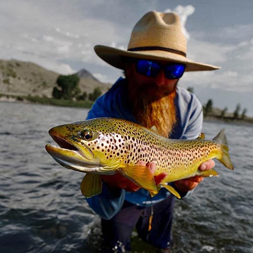 406 Fish Montana - Guide Fly Fishing Trips